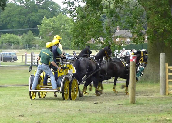 Horse Driving